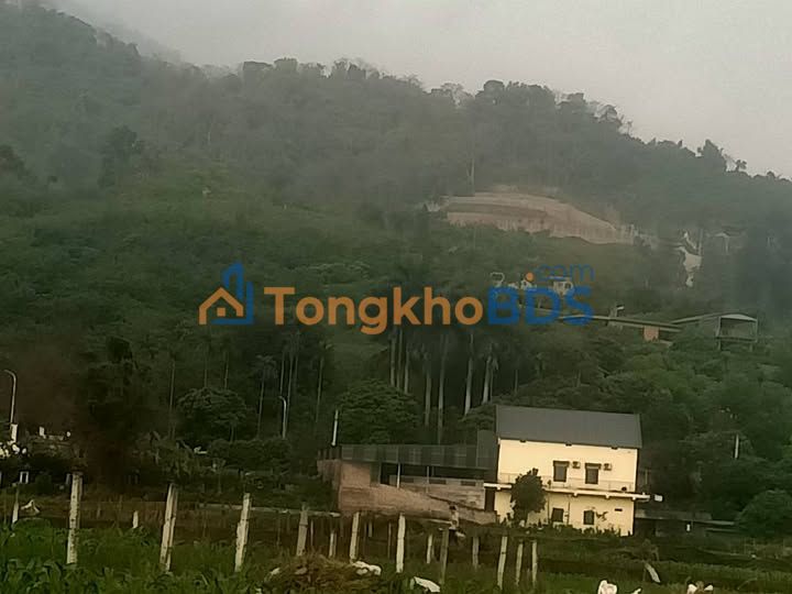 Bán Đất Vườn Thạch Thất 10000m² - View Đồng Thoáng, Gần Hà Nội