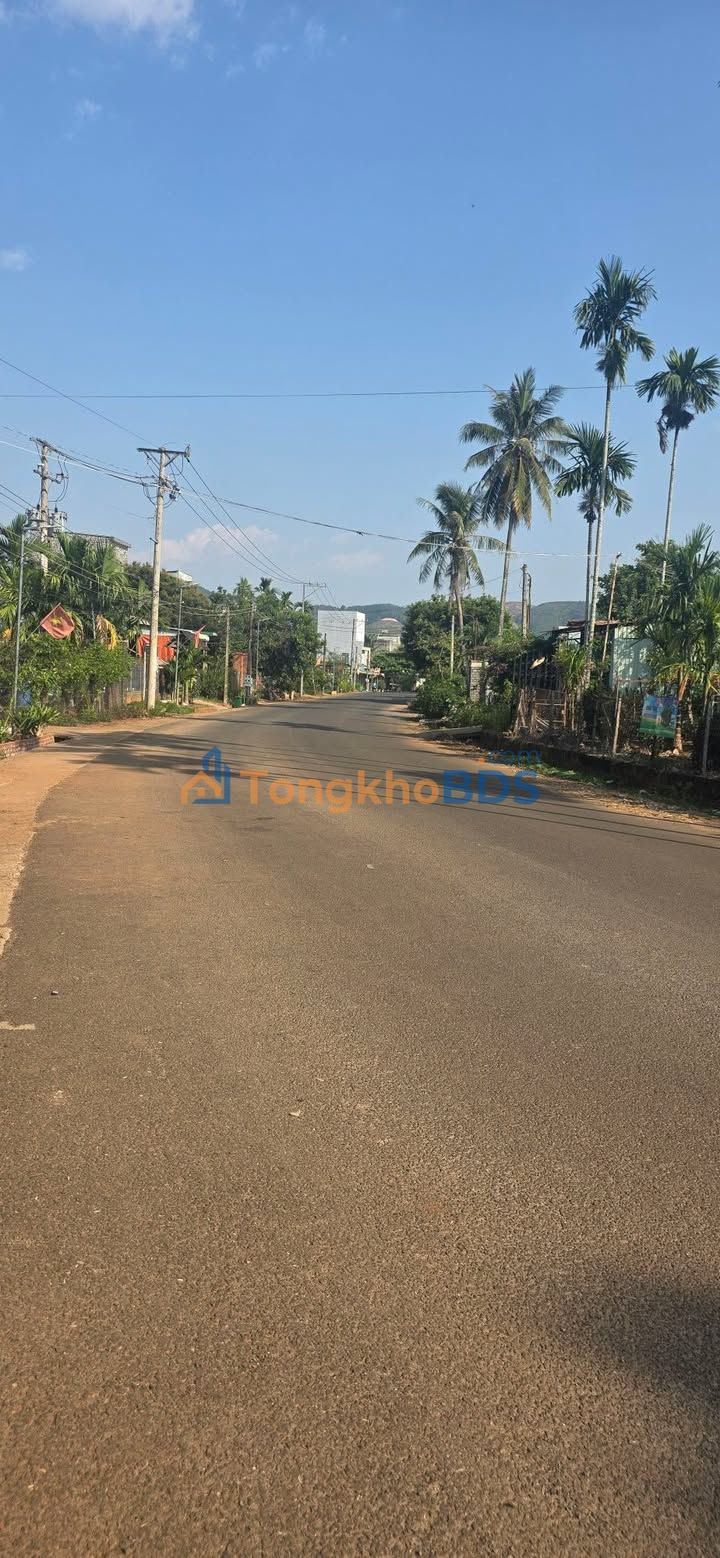 Đất nền Bù Đăng 14.000m² - Sẵn sàng xây kho xưởng, giá 7 tỷ