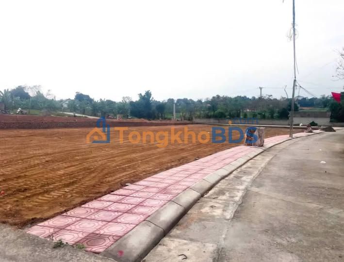 Đất Nền F0 Hướng Đạo, Tam Dương 100m² - Sổ Đỏ Sẵn Sàng - Giá 8xx Triệu