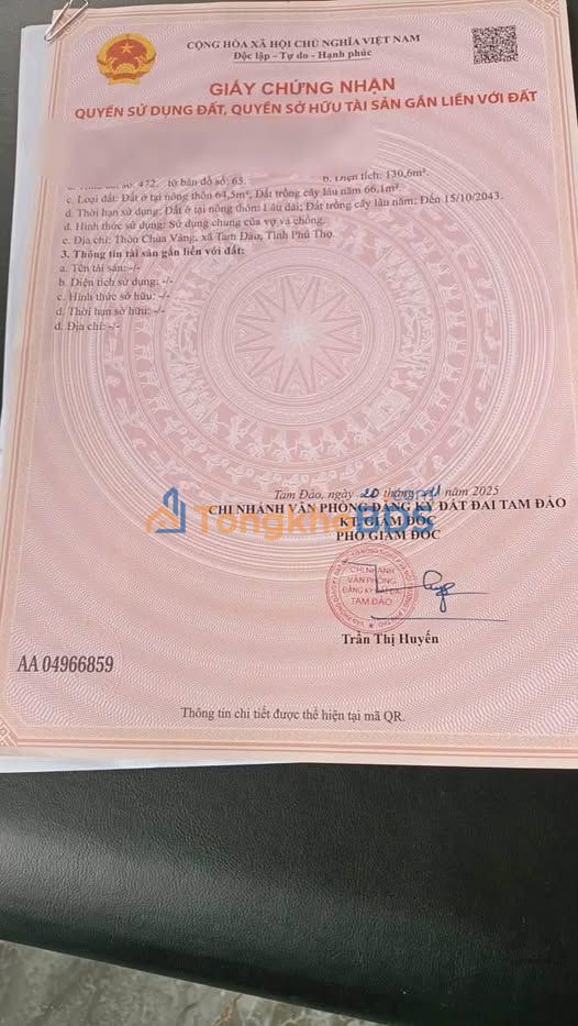 Đất Dịch Vụ Hợp Châu, Tam Đảo 100m² - Mặt Đường To, Giá Thỏa Thuận