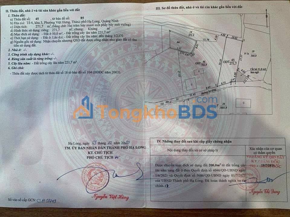 Đất Vàng Hạ Long - 271m² MT 10m Hướng Nam, Ngõ Ô Tô Rộng