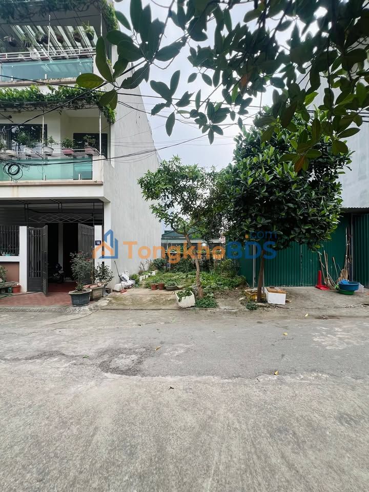 Đất Nền Việt Trì 85m² Mặt Tiền 5m - Vị Trí Vàng Giá Tốt