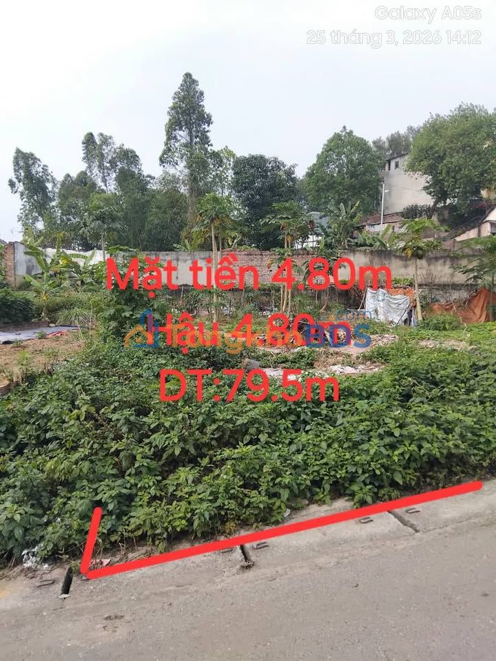 Đất Nền Vị Trí Vàng Phường Nông Trang, Việt Trì - 79.5m² Giá 2.4 Tỷ