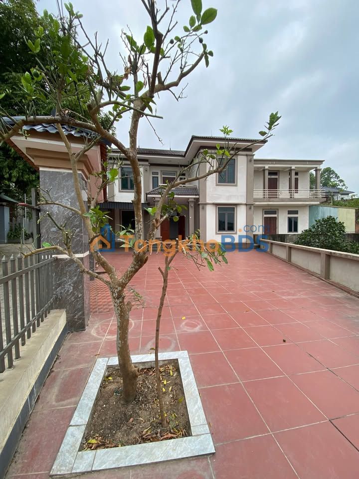 Nhà 2 Tầng 300m² Thanh Đình, Việt Trì - Chính Chủ, Giá 4 Tỷ