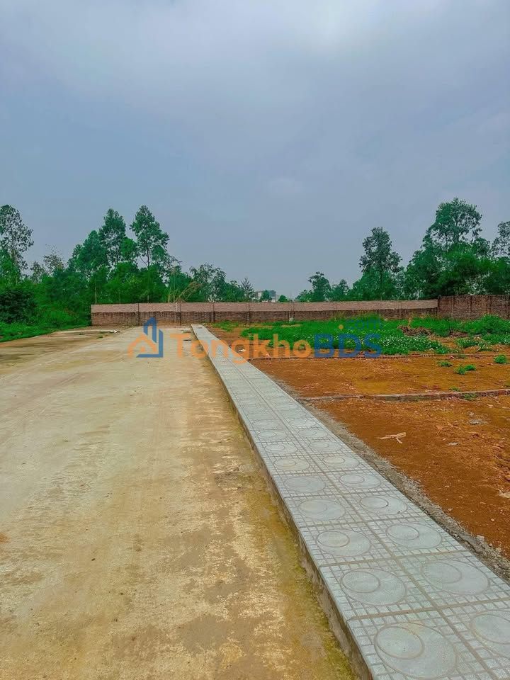 Bán Đất Thanh Đình Việt Trì 117m² - Sổ Thổ Cư, Ô Tô Tránh, Giá Đầu Tư