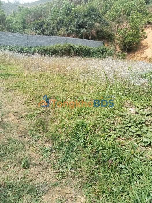 Bán Đất Nền 3509m² Nam Phong, Hòa Bình - Sổ Hồng Full Thổ Cư, Bám Suối, Giá Hơn 2 Tỷ