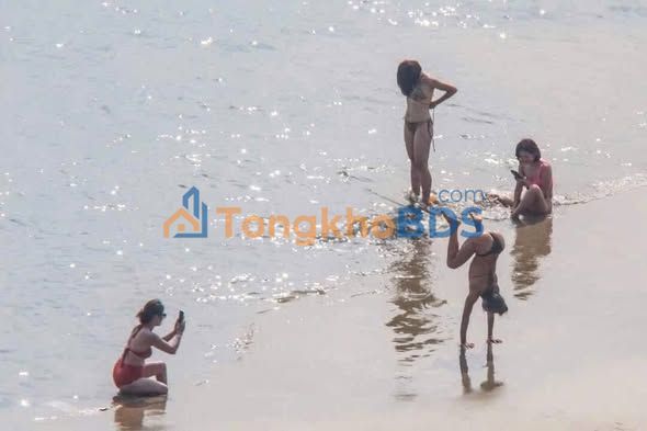 Đất Biển Sông Cầu 8129m² - Sổ Hồng Riêng - Đầu Tư Sinh Lời