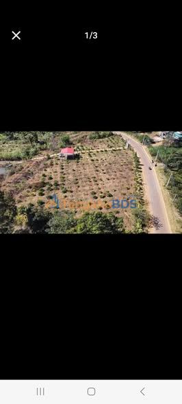 Đất Nền Mặt Nhựa 1000m² Tại Đắk Wer, Gia Nghĩa - Giá Đầu Tư 48 Tỷ