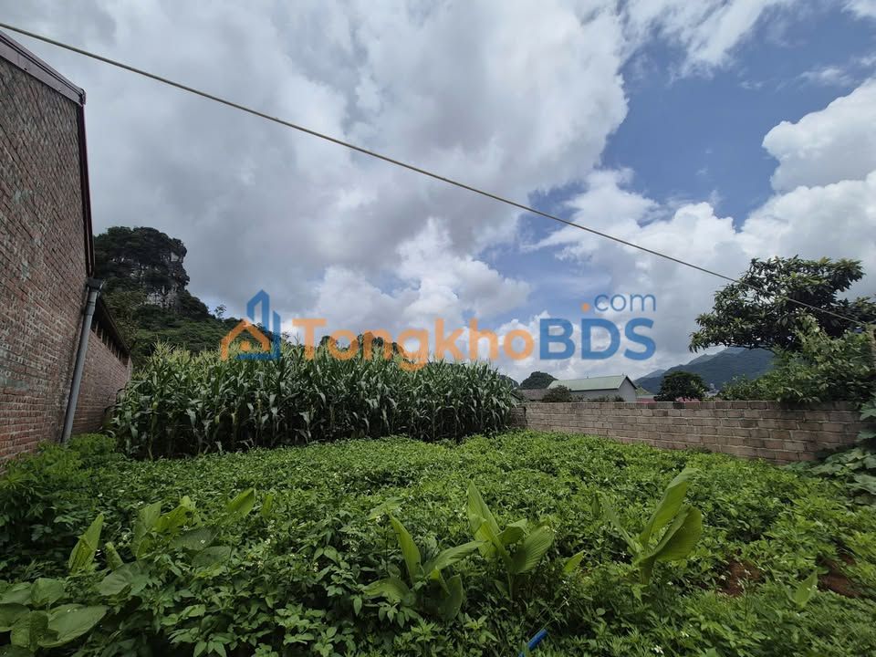 Đất Nền TDP 3/2 Mộc Châu 154m² Mặt Tiền Rộng 9m - Hơn 2 Tỷ