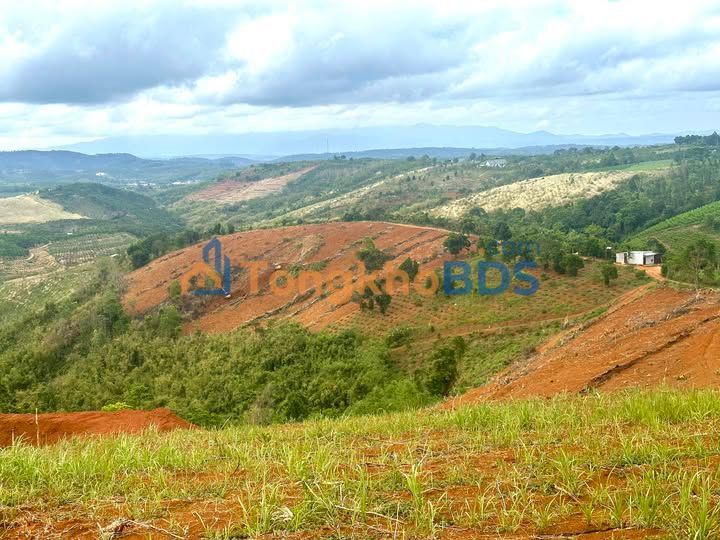 Đất Nền Đắk Nông 4.5ha Giá Tốt - Sổ Đỏ Chuẩn Bị Hoàn Thiện