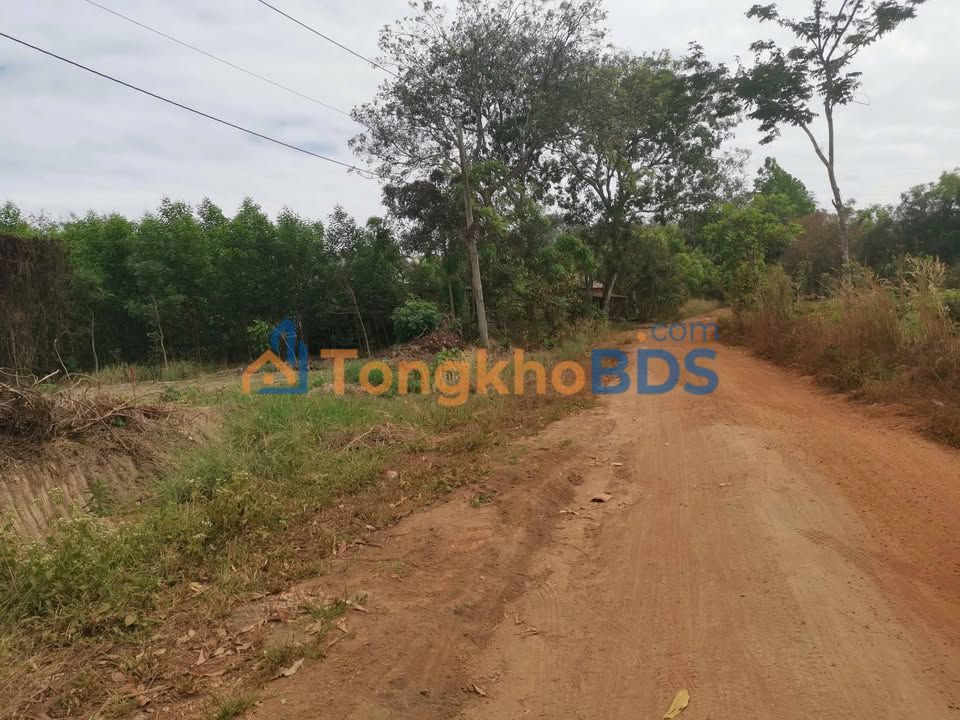 Đất Nền Thổ Cư 100m² Mặt Tiền DT 5x40 Hớn Quản, Bình Phước - Giá Ngộp Chỉ 1xx Triệu