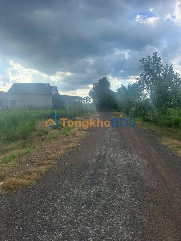 Đất Nền Bình Phước 290m² Sổ Đỏ - Giá Chỉ 3xx Triệu