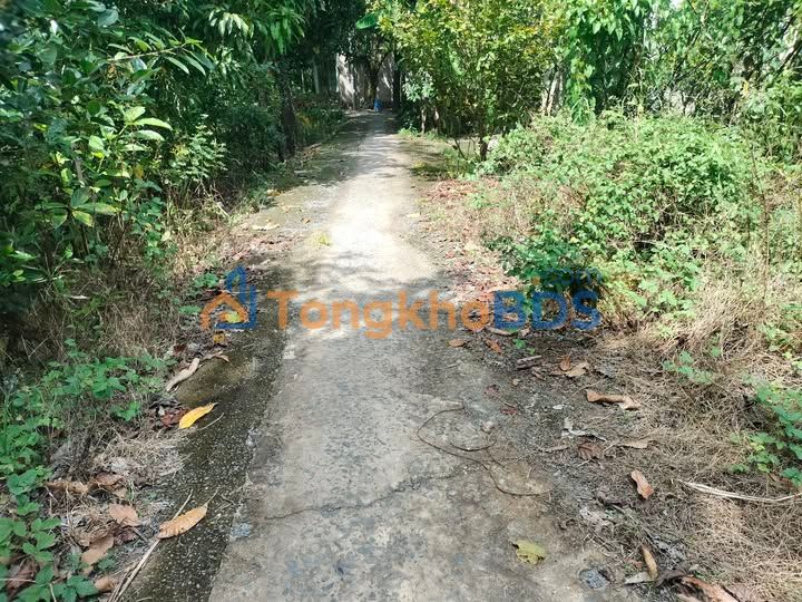 Đất Nền Mặt Tiền Đường Dal Mỹ Ngãi, Đồng Tháp - 113m² Giá 300 Triệu