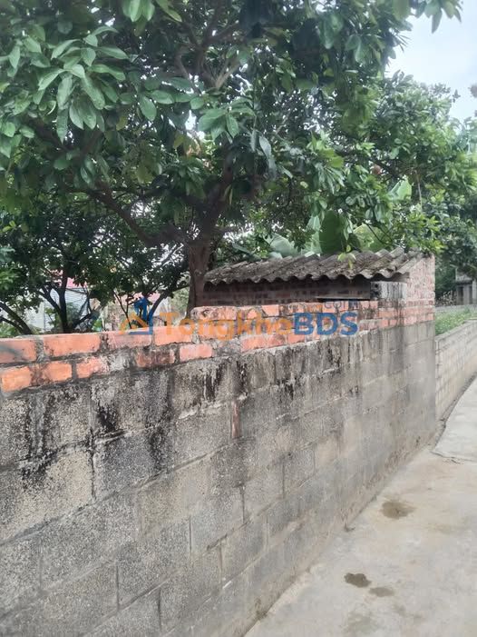 Đất Nền TT Lương Sơn, Hoà Bình - 115m² Sổ Đỏ Sẵn Sàng