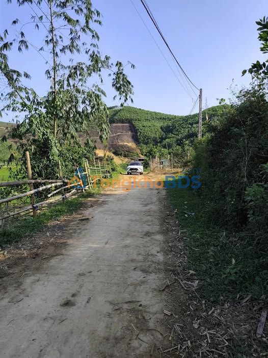 Đất Vườn Lạc Sơn, Hòa Bình - 181m² Giá Chỉ Hơn 2 Tỷ - Sổ Đỏ Sẵn Sàng