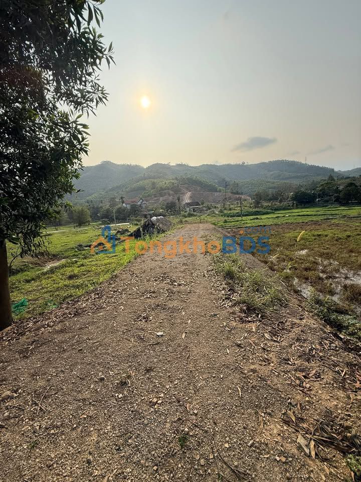 Đất mặt đường HCM Việt Trì 210m² giá 1-1.9 tỷ - Sổ đỏ chính chủ