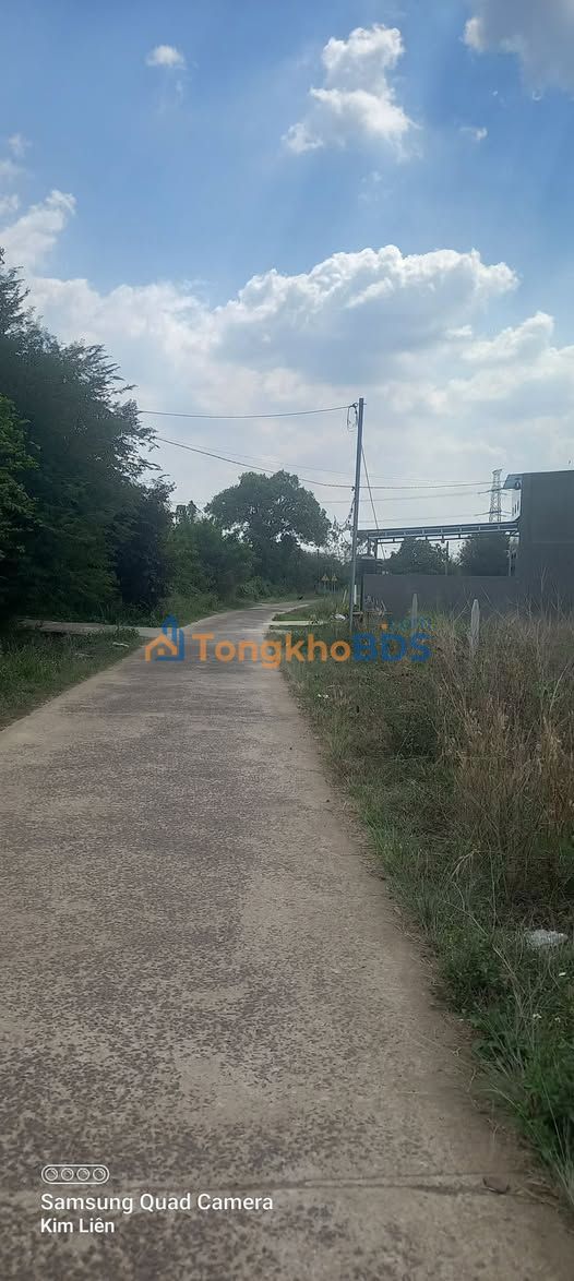 Đất Sổ Hồng 700m² Xuân Quế - Cẩm Mỹ, Đồng Nai - Giá 700 Triệu