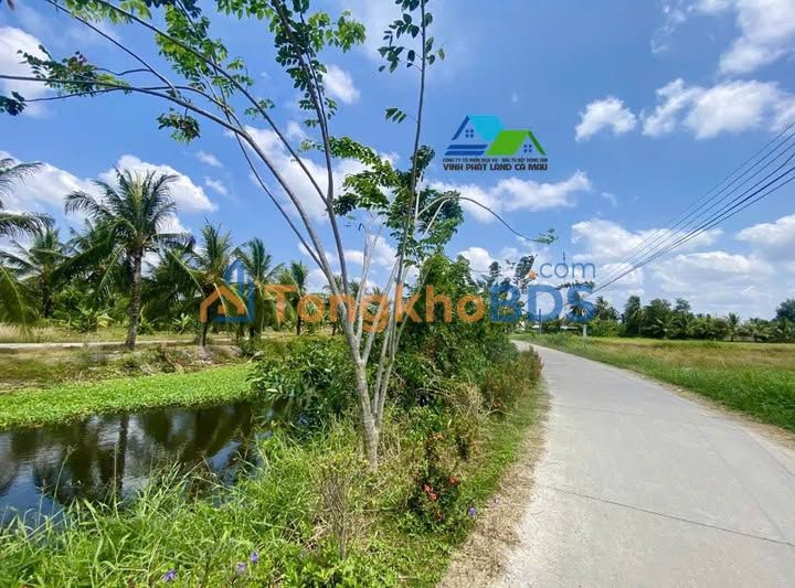 Đất Lập Vườn Mặt Tiền Sông Cà Mau 3700m² - Giá Đầu Tư Hấp Dẫn