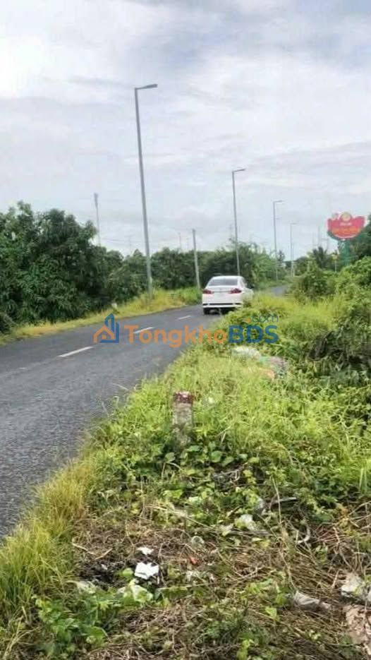 Đất Nền Cao Lãnh 80m² - Sổ Đỏ Cây Lâu Năm, Giá 300 Triệu