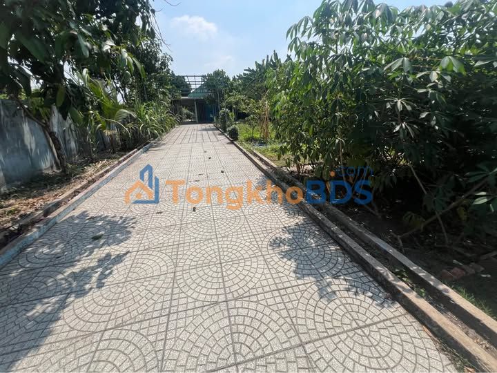 Bán nhà vườn Củ Chi 500m² - Sổ hồng riêng, giá 2.9 tỷ