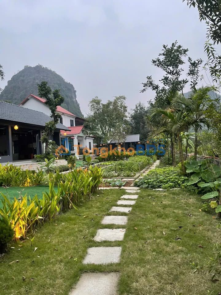 Farmview 2500m² Tựa Núi, Kinh Doanh Sẵn Sàng Tại Tam Cốc - Ninh Bình