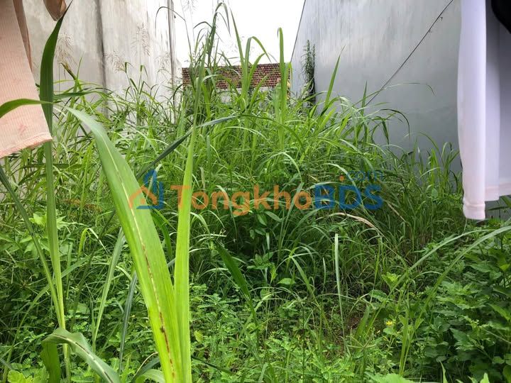 Đất Nền Nghĩa Hà - Quảng Ngãi 100m² Full Thổ Cư, Giá Tốt