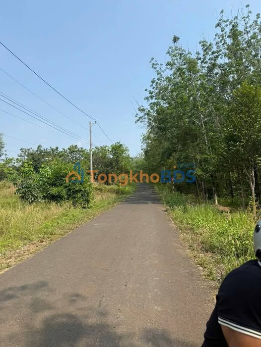 Đất nền Chơn Thành 2200m² - Sổ đỏ TC, giá chỉ từ 3xx triệu