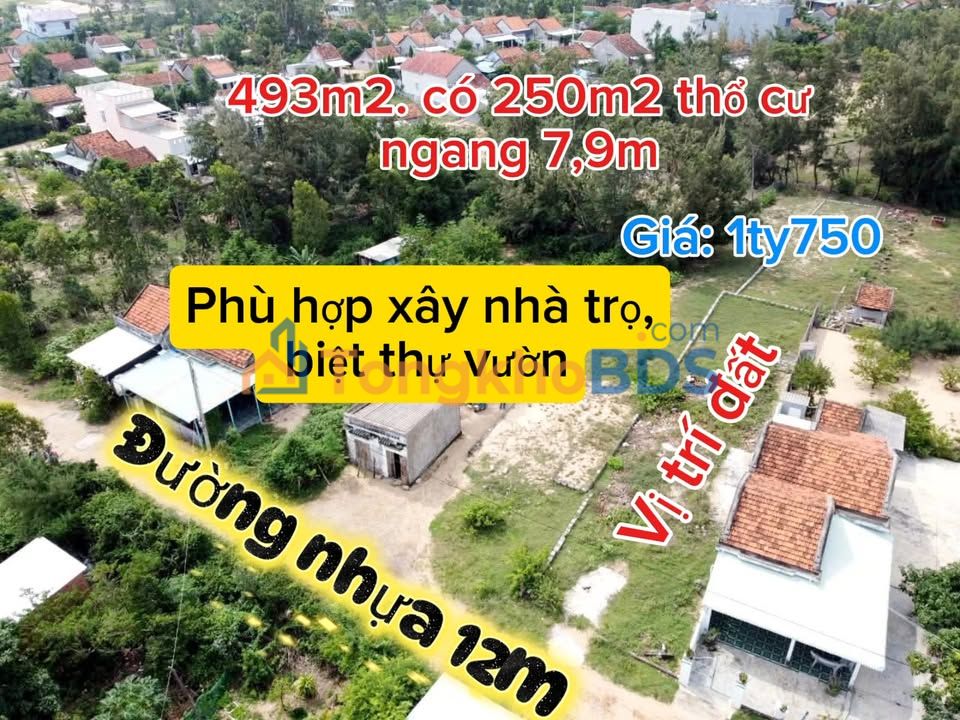 Đất Nền Hòa Hiệp Nam 493m² - Sổ Hồng Riêng - Giá Đầu Tư 1.75 Tỷ