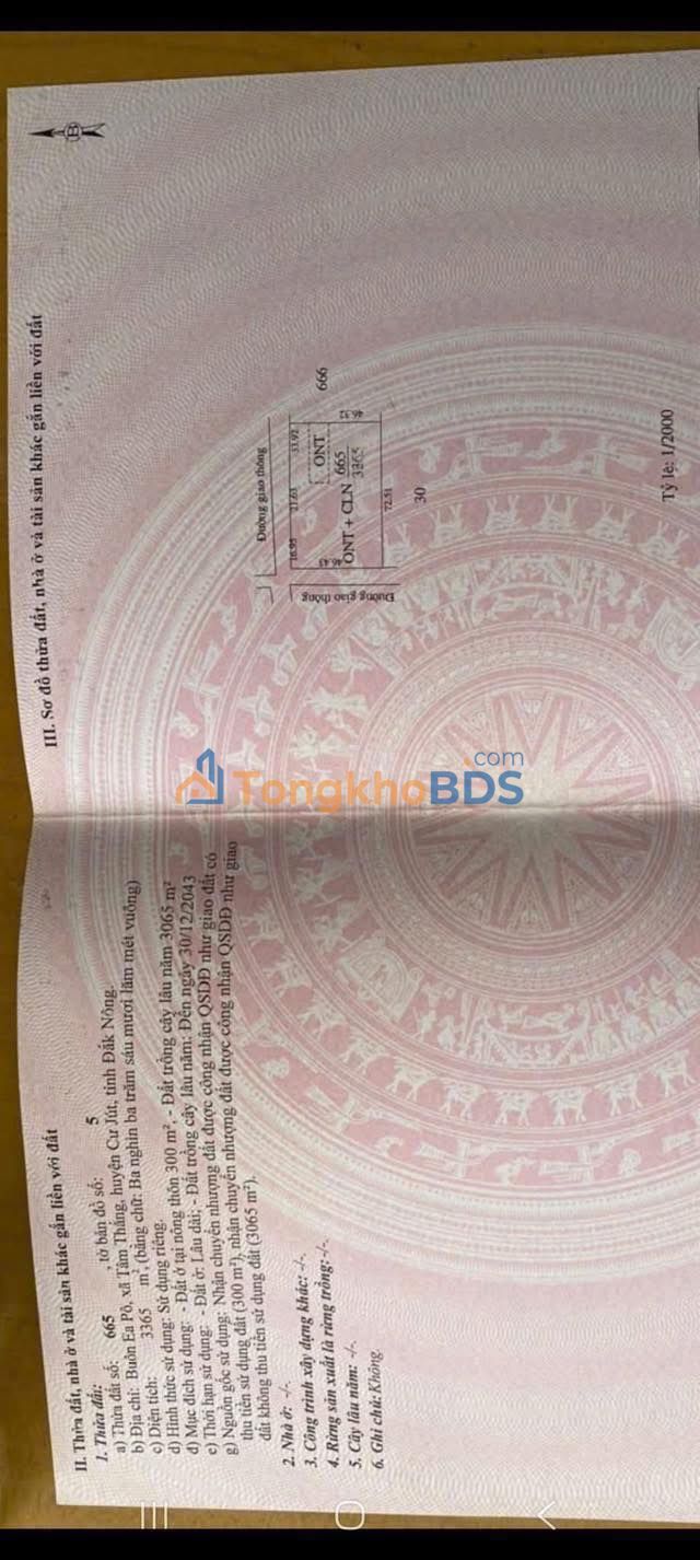 Đất 2 Mặt Tiền Cư Jút, Đắk Nông - 3262m² Sẵn Sàng Đầu Tư