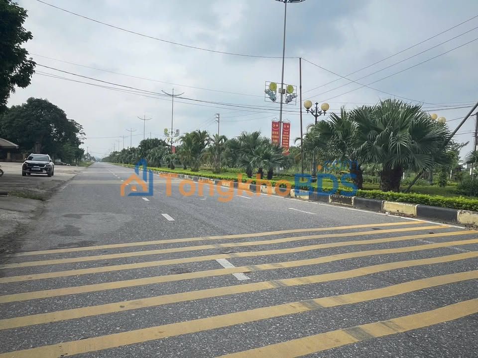 Đất Kinh Doanh Mặt Tiền QL 2B Tam Đảo 504m² - Sẵn Sàng Khai Thác Kinh Doanh