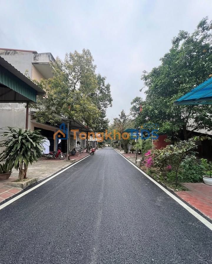 Đất nền Đồi Ông To, Việt Trì 78m² 3.x tỷ - Sổ đỏ