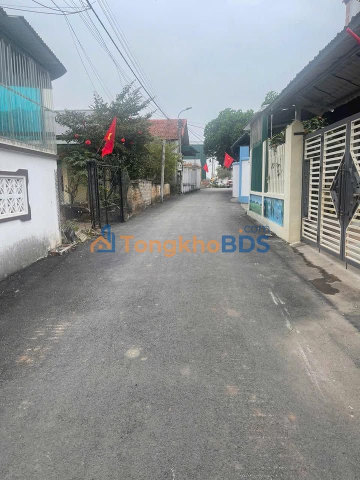 Đất Vĩnh Phúc 82m² - Đường Đạo Tú, Tam Dương - Giá 9xx Triệu