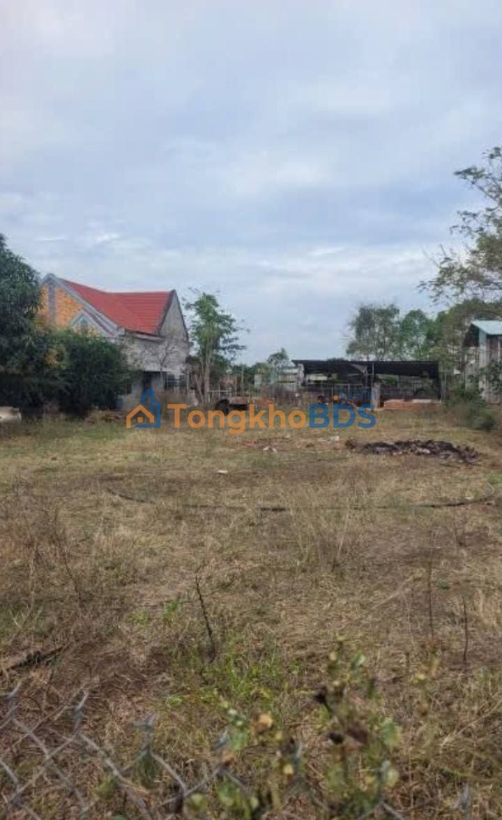 Bán Gấp Đất Vườn 7200m² Ngãi Giao, Châu Đức - Mặt Tiền 38m Đường Bê Tông