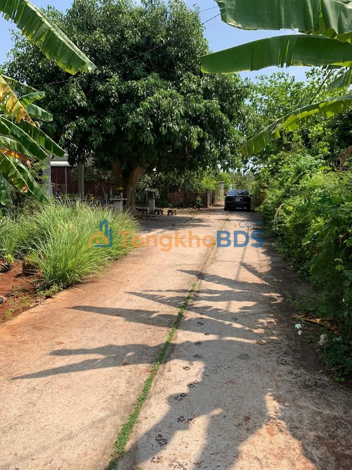 Bán Đất Long Tân 80m² Sổ Riêng - Chính Chủ, Giá Tốt Đầu Tư