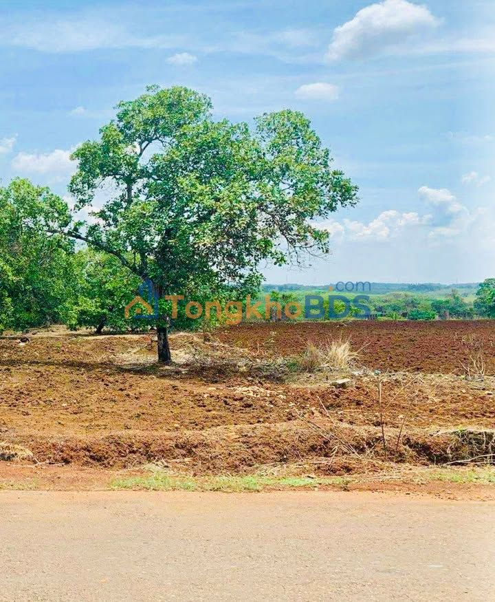 Đất Sào 3600m² Mặt Tiền Nhựa Lớn Long Thành - Sổ Hồng Riêng