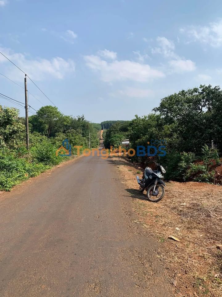 Đất Sổ Hồng 185m² Mặt Tiền Đường Nhựa Phú Trung, Bình Phước - Giá 450 Triệu