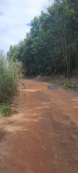 Bán Gấp Đất Vườn 16ha Bình Thuận - Giá Tốt Nhất