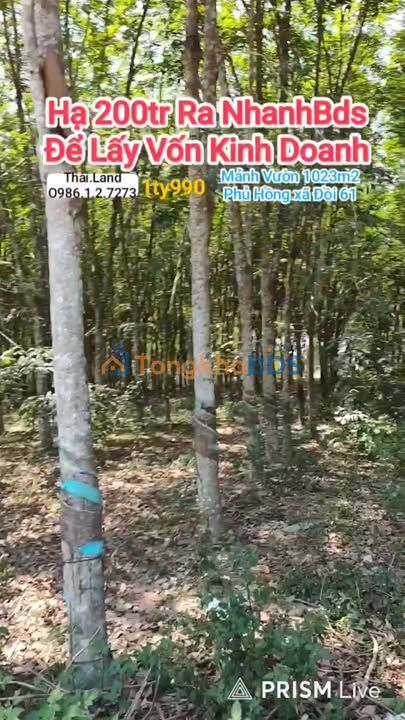 Đất Vườn Trảng Bom 1023m² - Sát KCN Bàu Xéo - Giá 800 Triệu