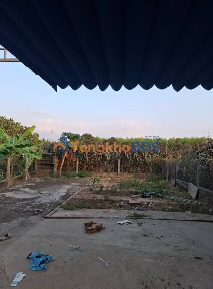 Đất Sổ Riêng 130m² Tân Phong, Biên Hòa - Giá 1.05 Tỷ, Full Thổ Cư