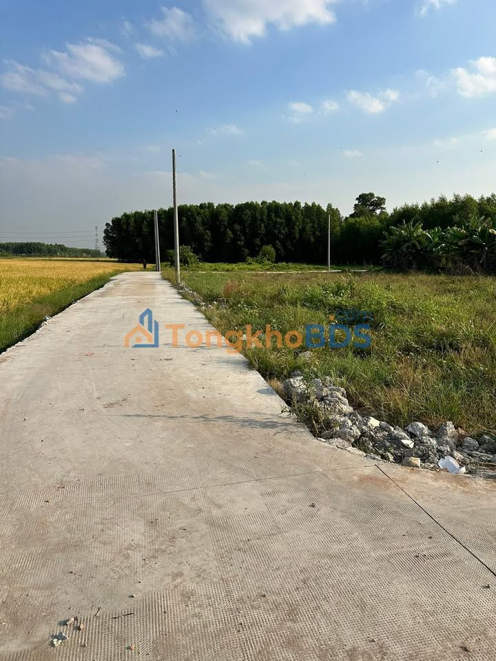 Đất Nền Tân Phong, Biên Hòa 84m² - 850 Triệu, Full Thổ Cư, View Đẹp