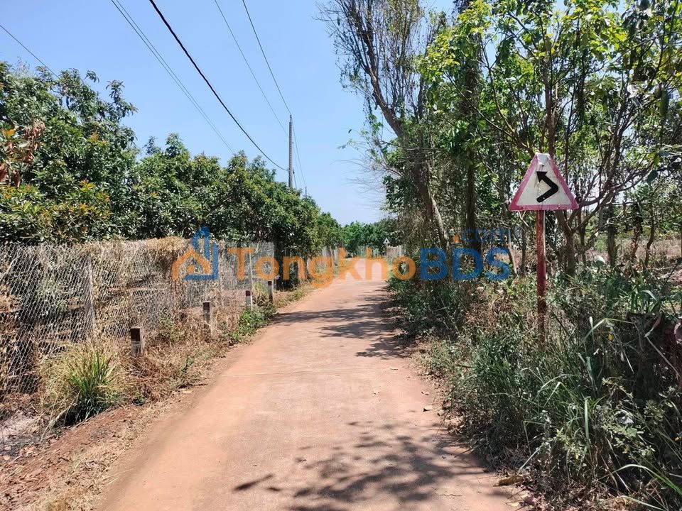 Bán đất Cẩm Mỹ 2600m² - Lô góc hai mặt tiền, có nhà cấp 4