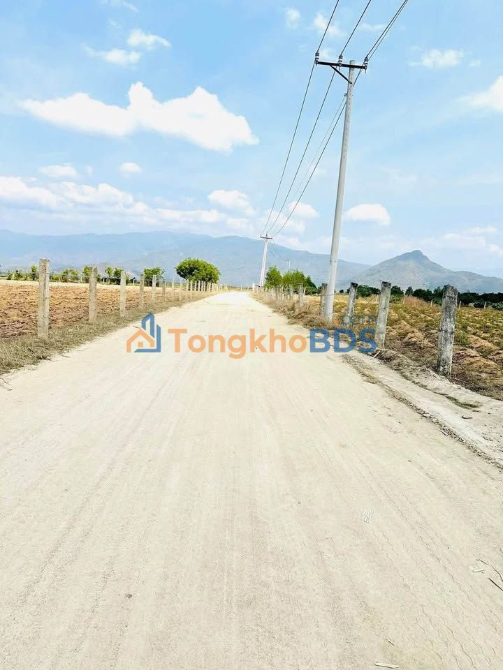 Đất Nền Ninh Sơn, Khánh Hoà 1126m² Sổ Hồng Chính Chủ - Giá Đầu Tư 120 Triệu