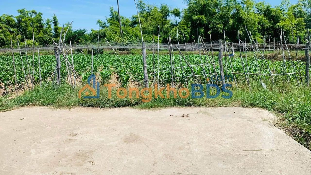 Đất HNK Ninh Hải 4827m² - Giá Đầu Tư 1.45 Tỷ - Sổ Sẵn