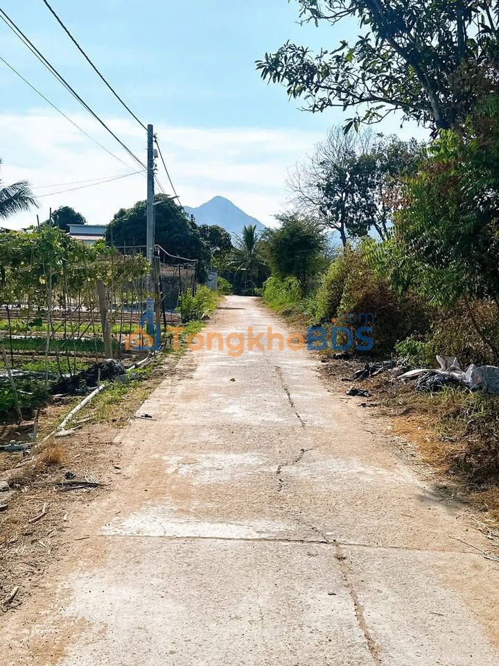 Đất Diên Khánh 99.7m² Full Thổ cư - Sổ hồng sẵn sàng, giá chỉ 250 triệu