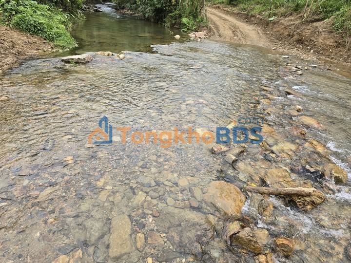 Bán Đất Vườn Hòa Bình 3300m² Bám Suối, Gần Cao Tốc - Chỉ Hơn 2 Tỷ