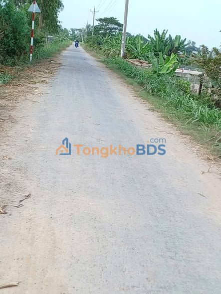 Bán Đất Ruộng 7000m² Mặt Tiền 140m Đường Sườn 3, An Giang - Giá Đầu Tư