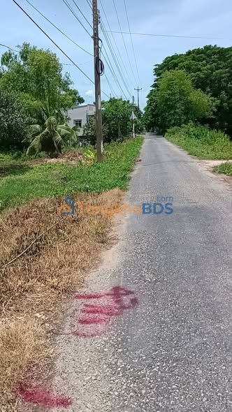 Đất Vườn 5000m² Mặt Tiền KM5, Tân Châu, An Giang - Sổ Đỏ Chính Chủ