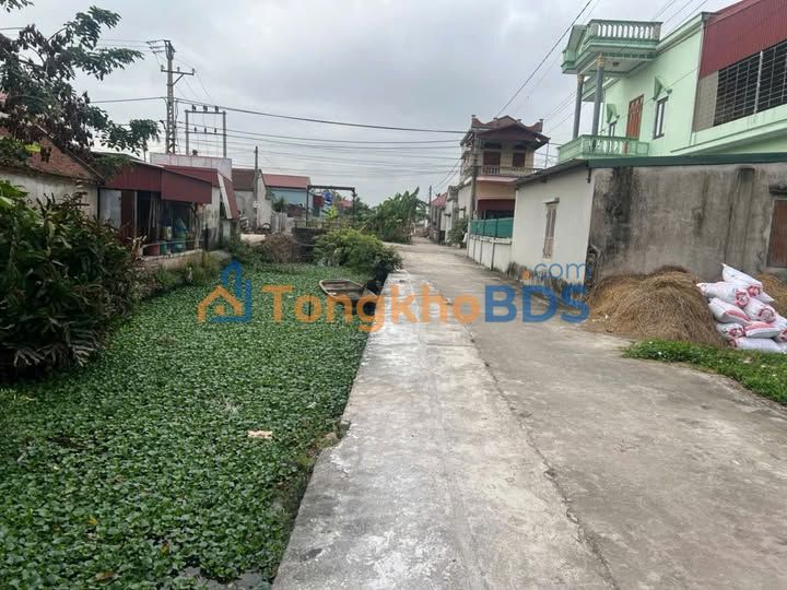 Đất nền Tự Tân, Vũ Thư, Thái Bình - 100m² Full thổ cư, giá 1.x tỷ