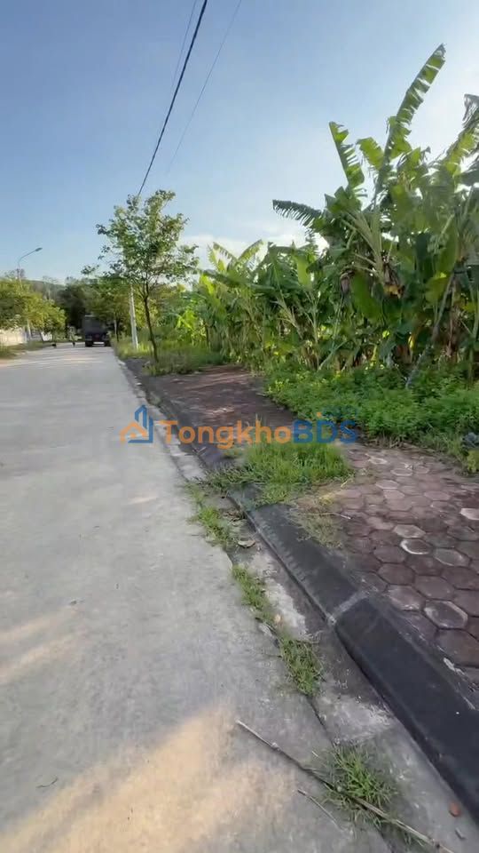 Đất Vàng Ninh Bình - 286m² Full Thổ Cư, 3 Mặt Tiền Đường 8m - Giá 1.9 Tỷ