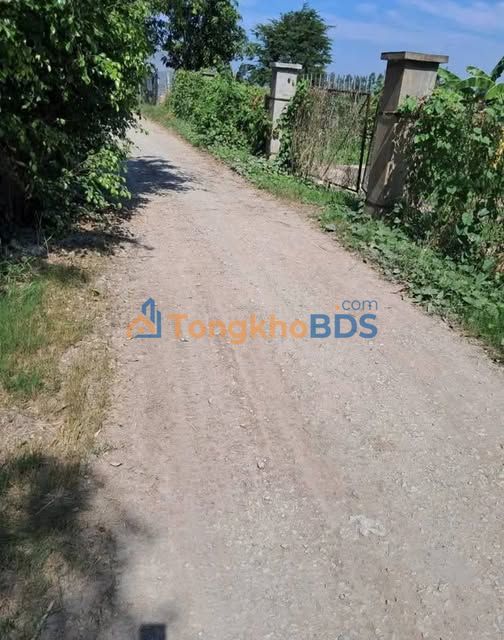 Bán Gấp 2.1ha Đất Vườn An Giang - Xe Hơi Tới Tận Nơi